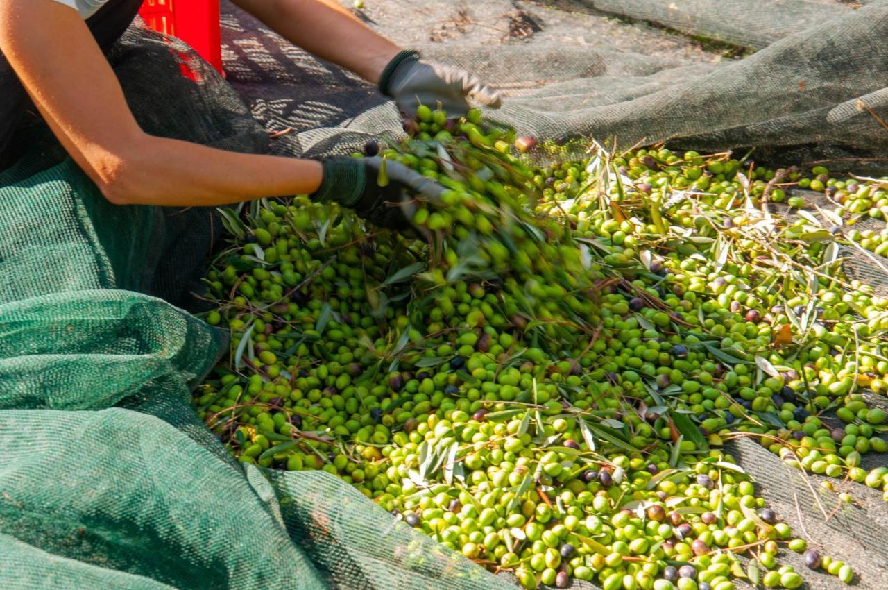 Tenuta Di Sticciano تْشيرتالدو المظهر الخارجي الصورة