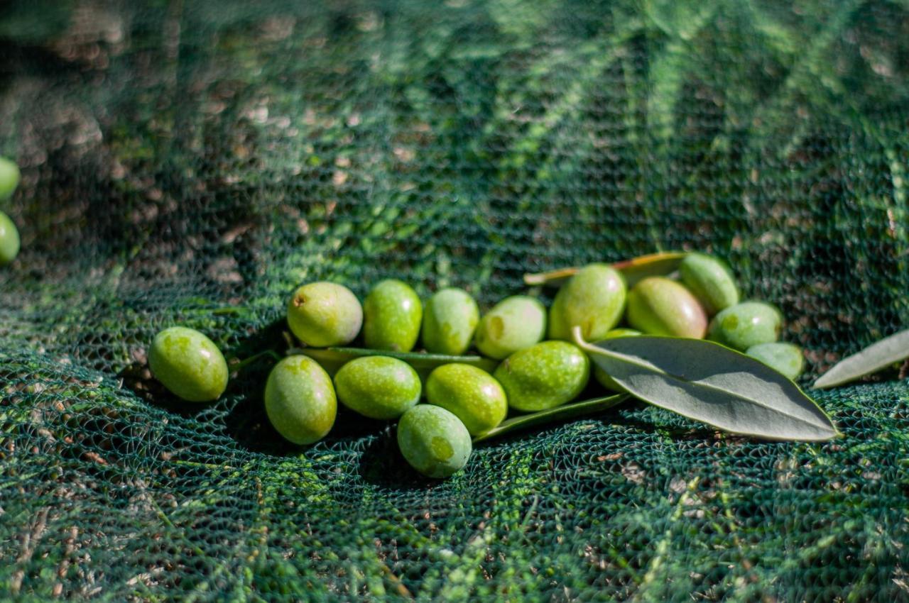 Tenuta Di Sticciano تْشيرتالدو المظهر الخارجي الصورة