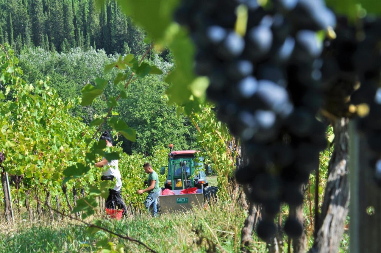Tenuta Di Sticciano تْشيرتالدو المظهر الخارجي الصورة